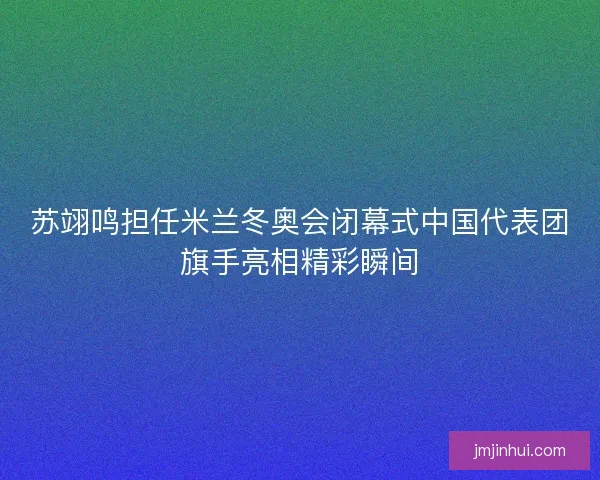 苏翊鸣担任米兰冬奥会闭幕式中国代表团旗手亮相精彩瞬间 苏翊鸣担任米兰冬奥会闭幕式中国代表团旗手亮相精彩瞬间